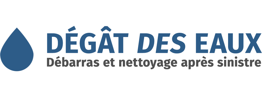 Dégât des Eaux